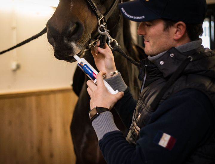 Horse Boost Proizvod