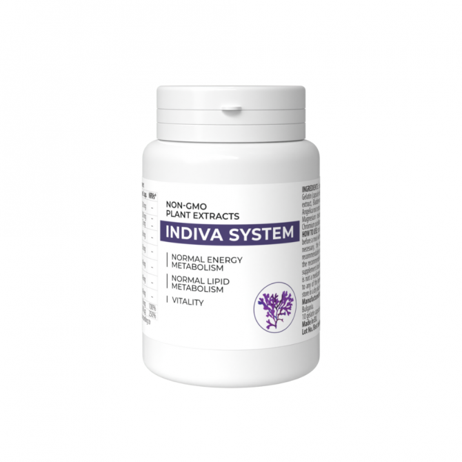 Indiva System Full Proizvod